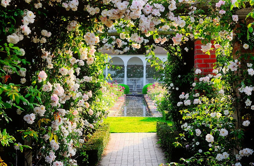 Beautiful garden, roses, garden, bush, beautiful, spring, fragrance, park, pretty, fountain, flowers, scent, lovely HD wallpaper