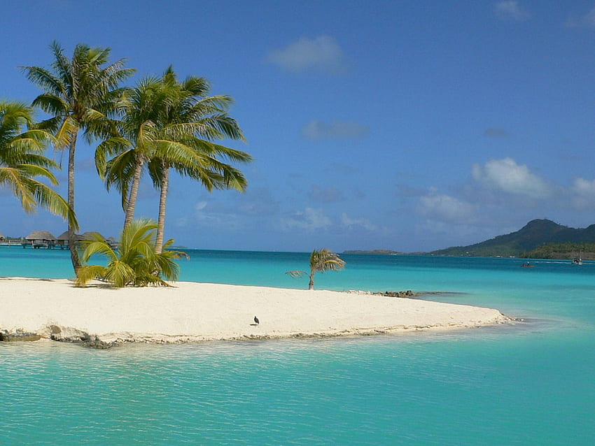 Sand bank and Blue Lagoon Bora Bora, island, blue, sand, palm, tropical, bank, southseas, tahiti, beach, holiday, trees, islands, ocean, sea, pacific, exotic, paradise, south, lagoon, tree, turquoise, atoll, sandbank, bora bora, polynesia HD wallpaper