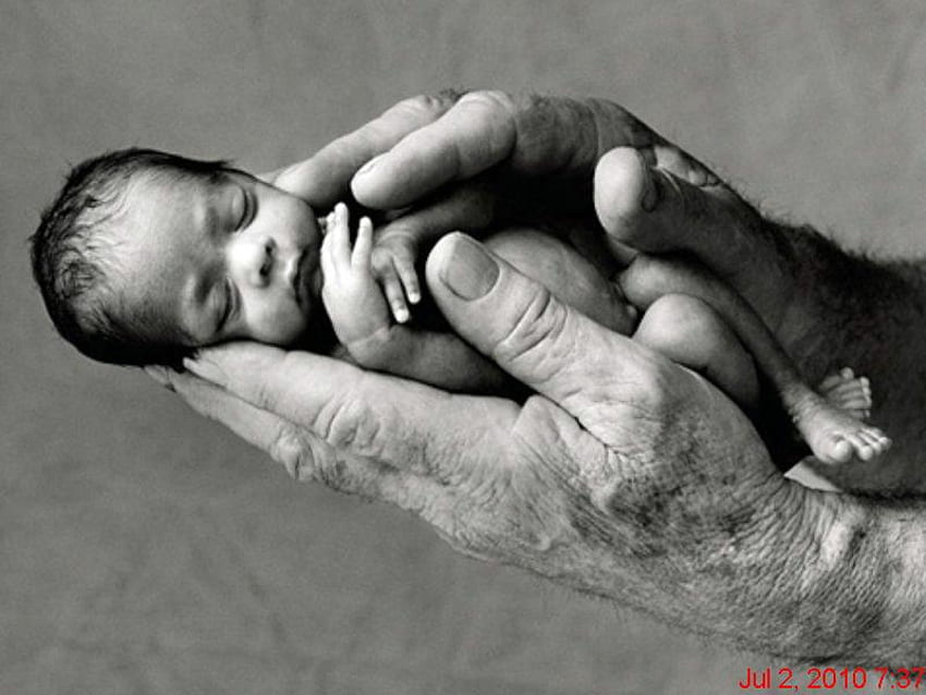 Precious Little One, cradle, baby, older hands, tiny HD wallpaper