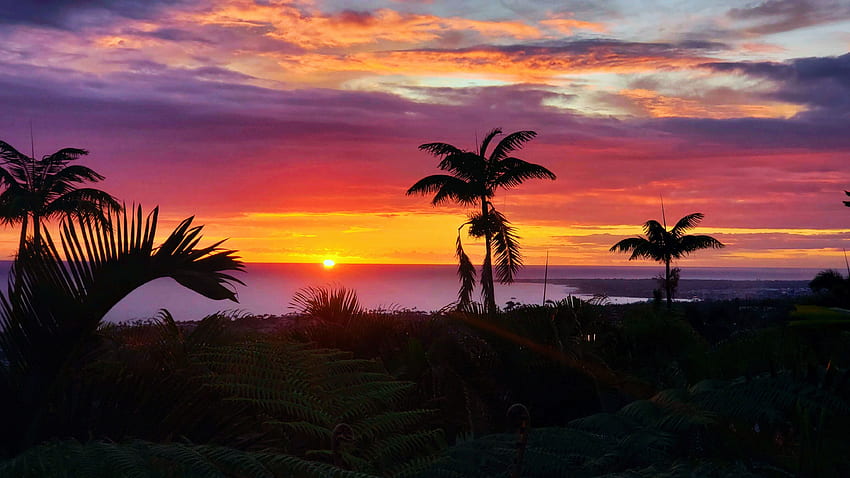 Beautiful sunset in Kailua-Kona, Hawaii, beach, sea, clouds, colors, sky, usa, palm trees HD wallpaper