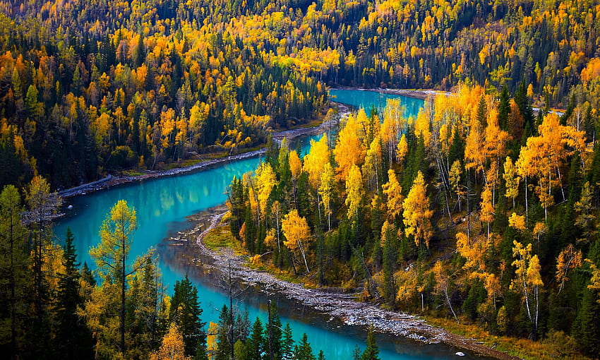 Sonbahar görünümü, sahne, sonbahar, ağaçlar, defne, görünüm, orman, renkli, nehir, Çin, güzel, sonbahar HD duvar kağıdı
