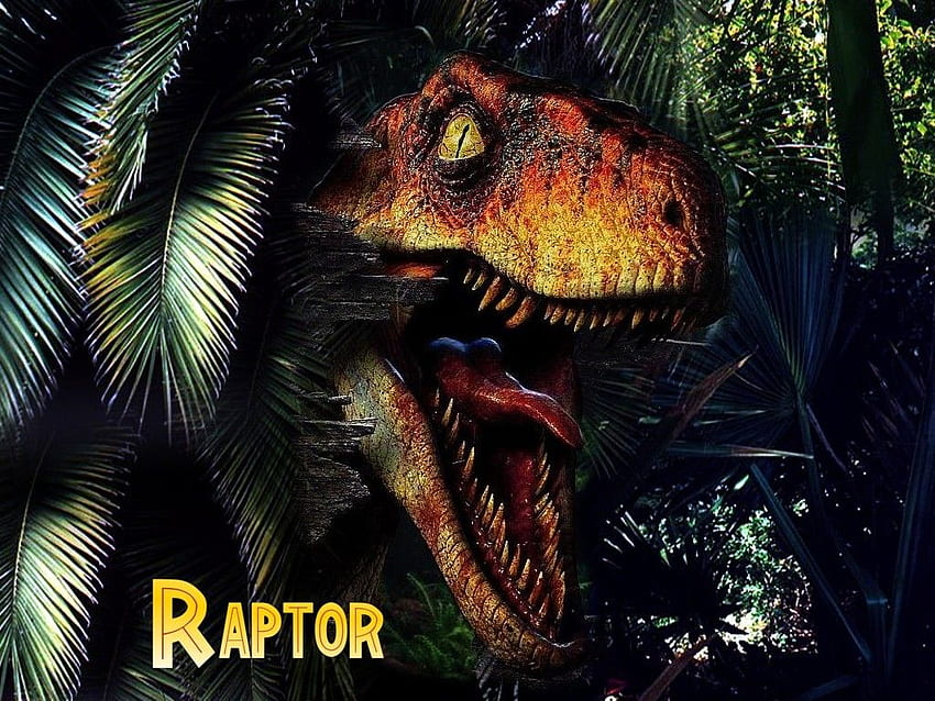 Velociraptor - , fond de Velociraptor sur chauve-souris, Jurassic Park Velociraptor Fond d'écran HD