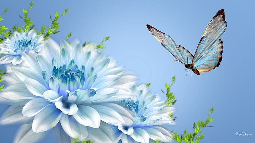 Flor, Macro, Vuelo, Mariposa fondo de pantalla