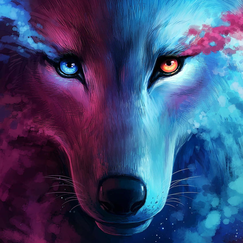 Ice Wolf, Fire Wolves HD phone wallpaper