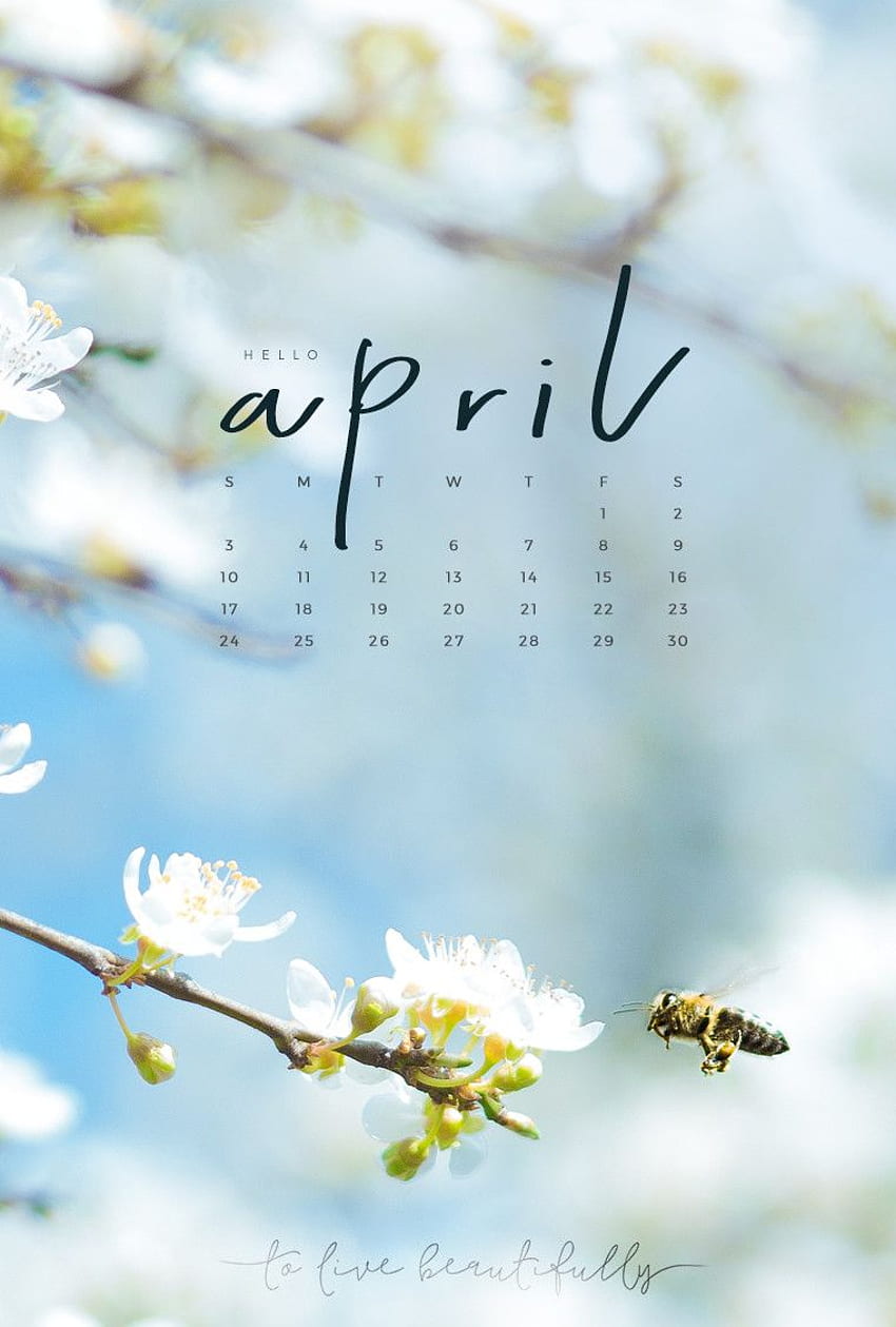 April Wallpaper Images  Free Download on Freepik