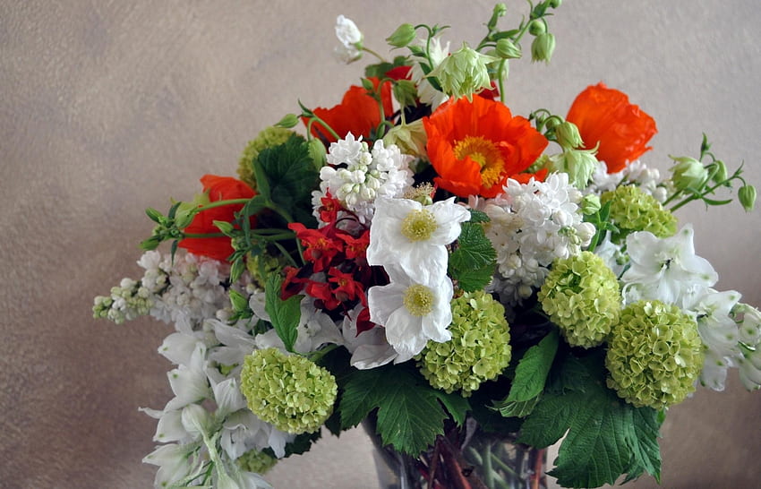 Blumen, Mohn, Flieder, Narzissen, Blumenstrauß, Vase, Komposition, Hortensie HD-Hintergrundbild