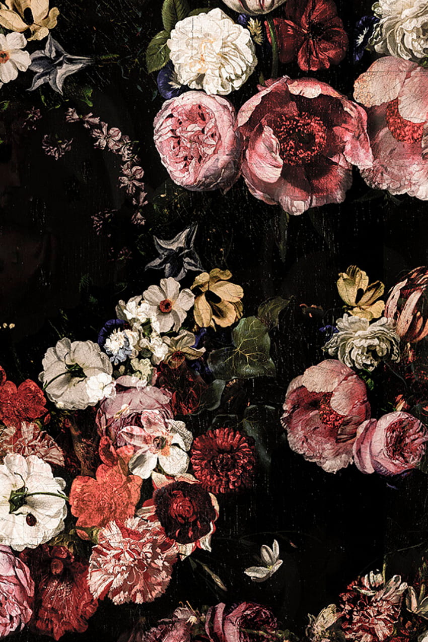 Das Dornröschen-Wandgemälde „Rosenreben“ – JASS London. Vintage Blumenhintergrund, Vintage Blumen, schwarze Blumen HD-Handy-Hintergrundbild