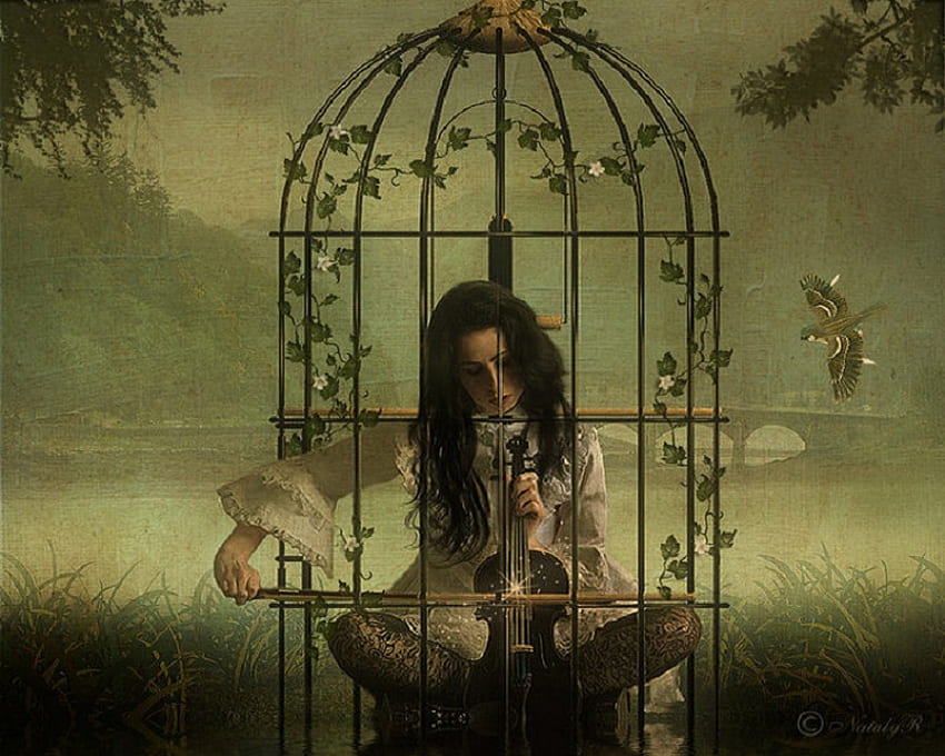 Caged melody, mist, music, bird, flowers, cage, violin, woman HD wallpaper