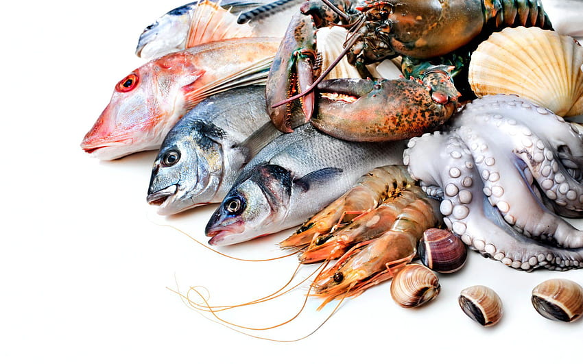 Морска храна . Морски дарове, пържени морски дарове и сурови морски дарове на фона, ресторант с морски дарове HD тапет