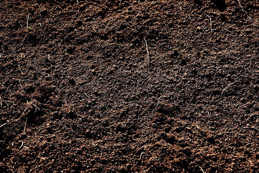 Soil, not dirt. Dirt texture, Earth texture, Soil texture HD wallpaper