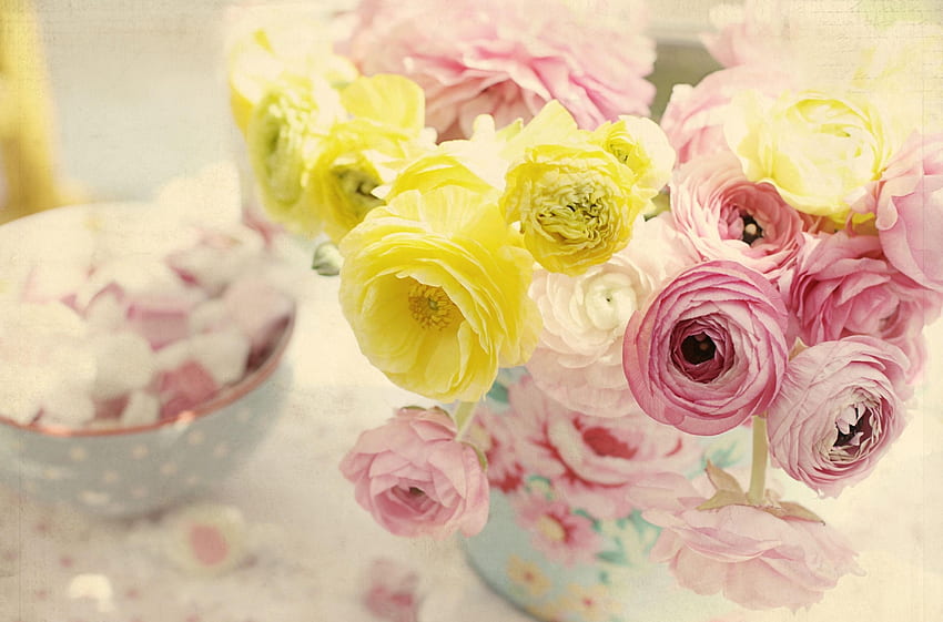 Blumen, Vase, Ranunkulus, Hahnenfuß, Zärtlichkeit HD-Hintergrundbild