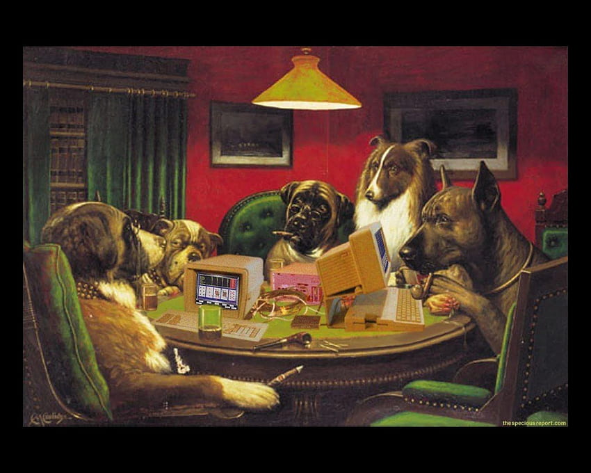 Dogs playing poker wallpaper  Funny wallpapers  41139