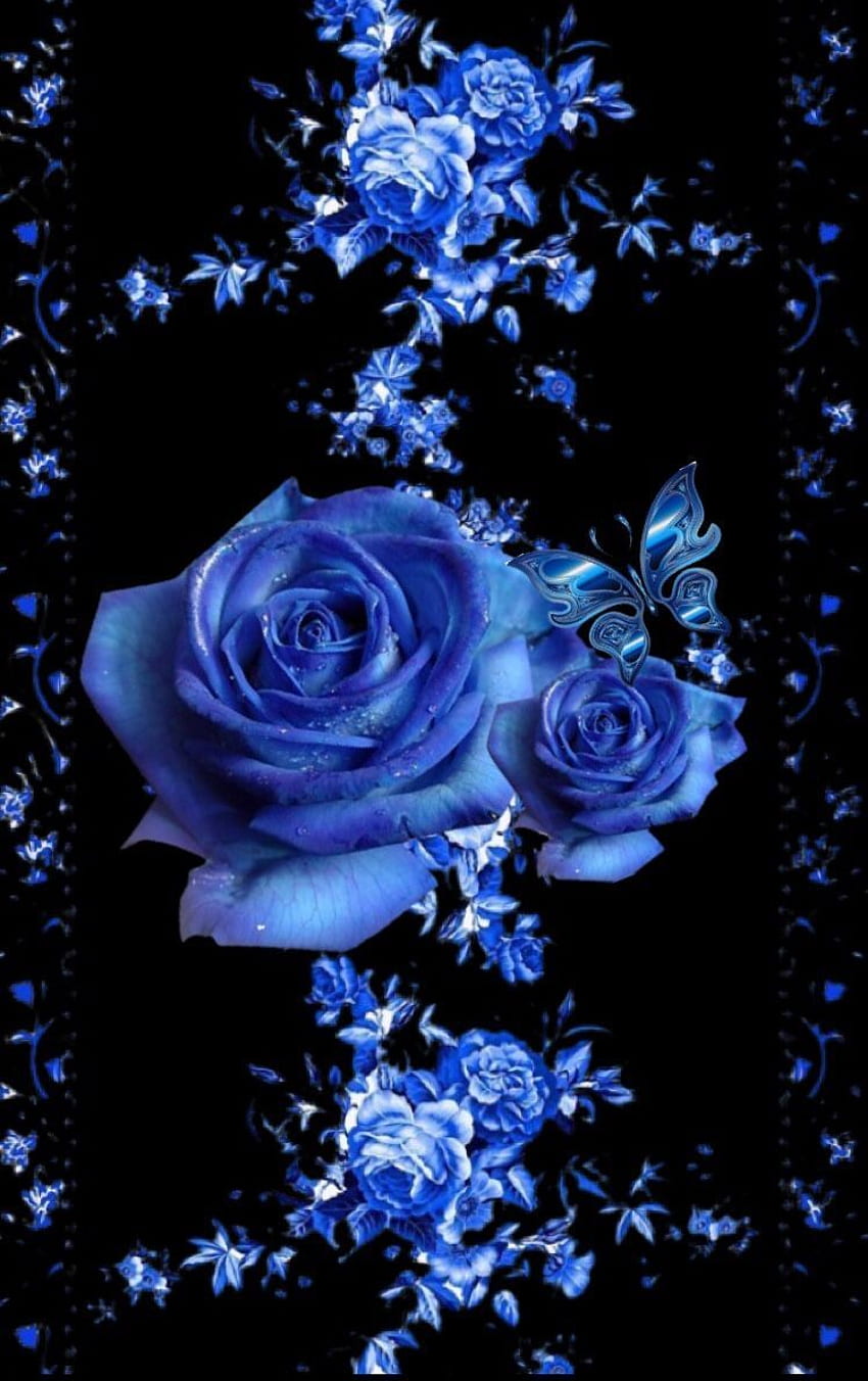 Blue rose phone HD wallpapers | Pxfuel
