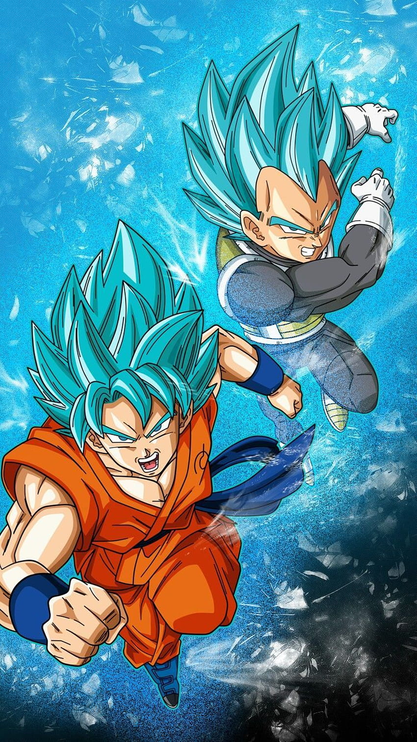 Goku and Vegeta SSB. Dragon Ball. Dragon ball, Dragon HD phone ...