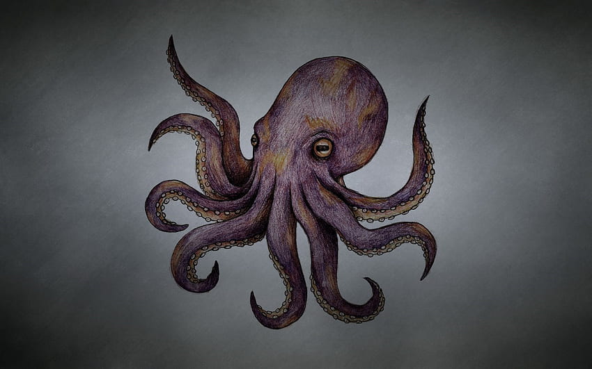 Oktopus-Kunst HD-Hintergrundbild