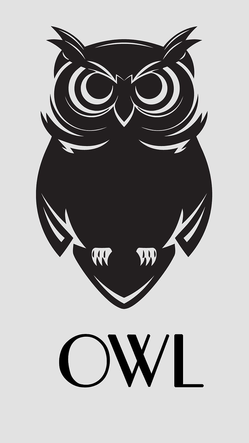 Owl iPhone Background, Cute Owl HD phone wallpaper | Pxfuel