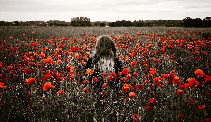 Nature, Flowers, Poppies, Field, Girl HD wallpaper