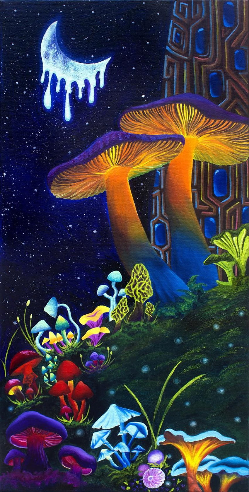 Trippy Mushrooms  Mushroom Aesthetic HD phone wallpaper  Pxfuel