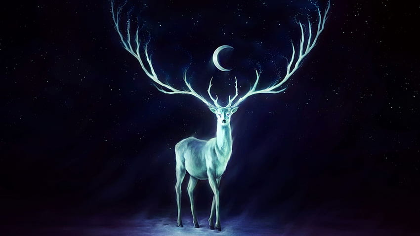 Deer, Deer Art HD wallpaper