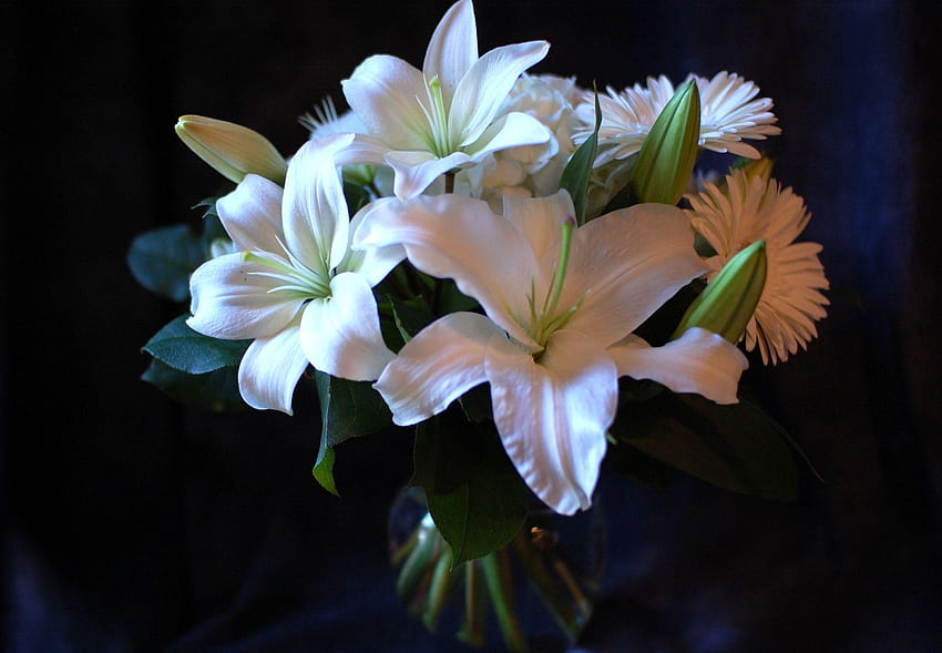 Blumen, Lilien, Gerbera, Blumenstrauß HD-Hintergrundbild