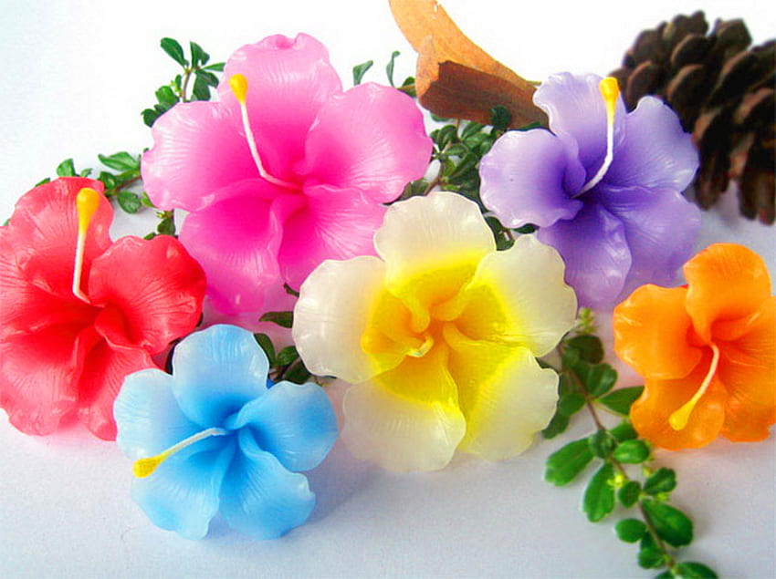Tęcza kwiatów, niebieski, kolory, pomarańczowy, fioletowy, różowy, zielony, żółty, czerwony, kwiaty Tapeta HD
