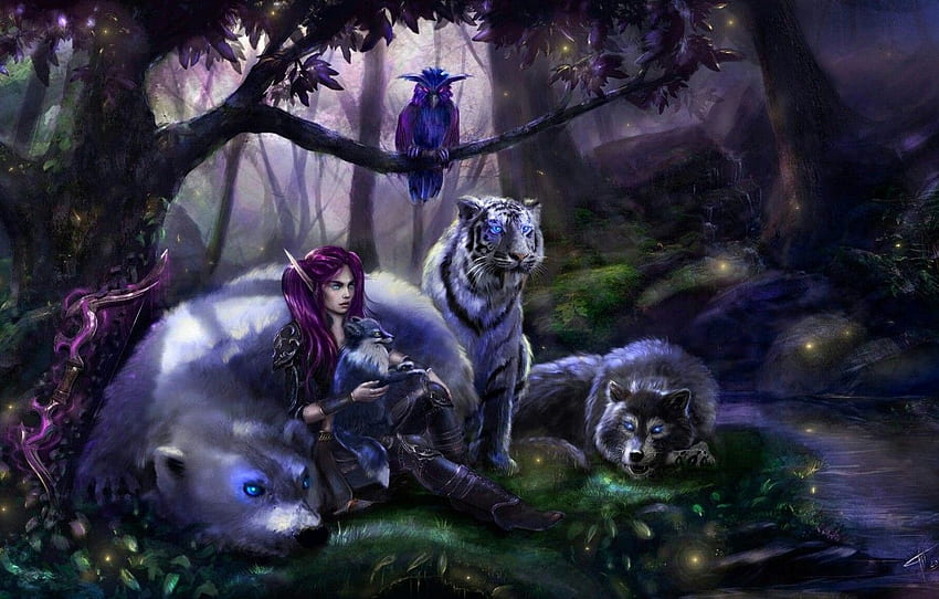 tiger, wolf, thicket, bear, haze, rays of light, fairy forest, halt, owl, elfika, lady of the beasts, фЭнтези арт for , section фантастика, Fairies and Wolves HD wallpaper