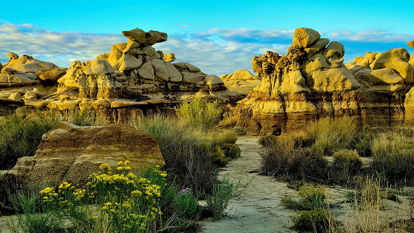 Bisti Badlands, New Mexico'da gün doğumu, bitkiler, kayalar, ABD, manzara, çiçekler, gökyüzü HD duvar kağıdı