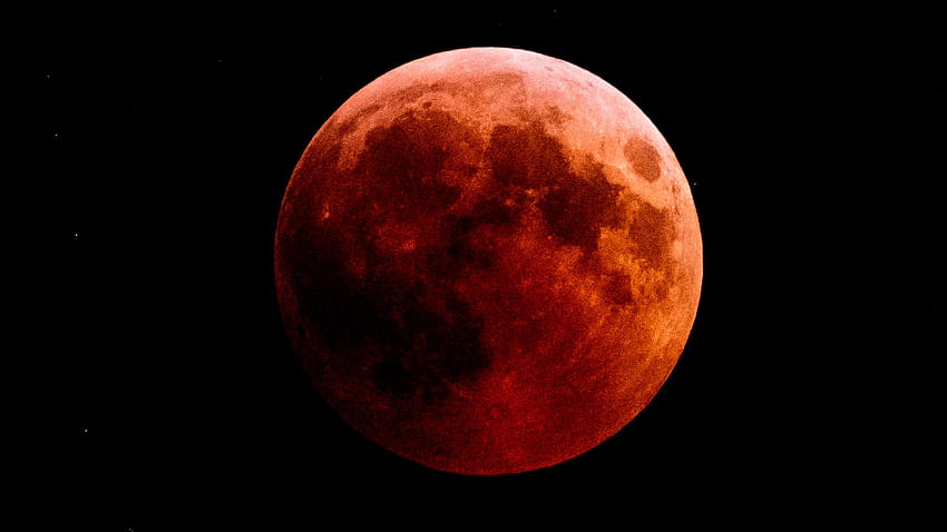Super blood wolf moon eclipse coming soon What does it all mean [] for your , Mobile & Tablet. Explore Lunar Eclipse 2019 . Lunar Eclipse 2019, Red Moon Wolf HD wallpaper