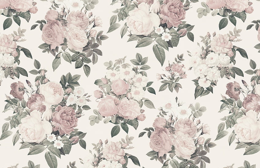 Cream & Pink Rose Mural Floral Antik, Floral Netral Wallpaper HD
