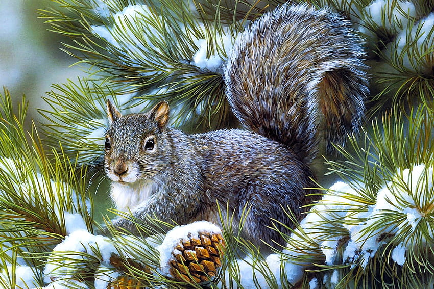 Squirrel on Tree, on tree, beautiful, , squirrel HD wallpaper