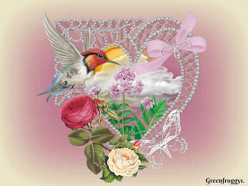 HUMMINGBIRD SCENE, HUMMINGBIRD, CUTE, CREATION, ABSTRACT HD wallpaper