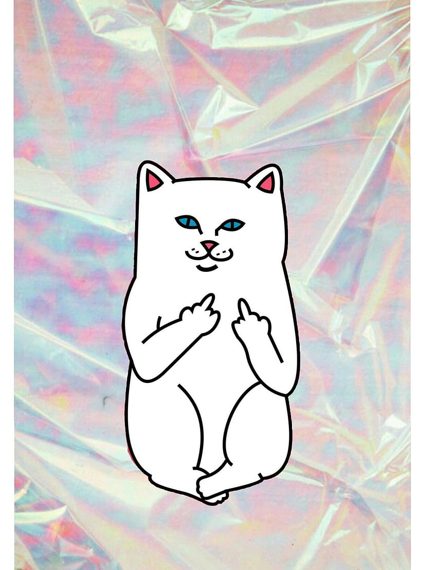 Beautiful Ripndip Cat - Cat Middle Fingers,, Aesthetic Cat HD phone wallpaper