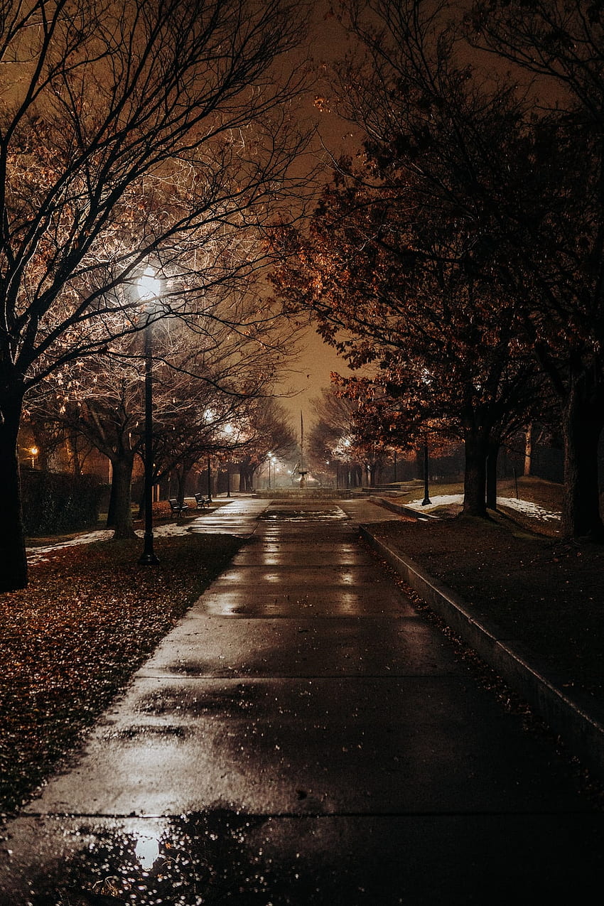 Ciudad de la lluvia, noche de otoño fondo de pantalla del teléfono