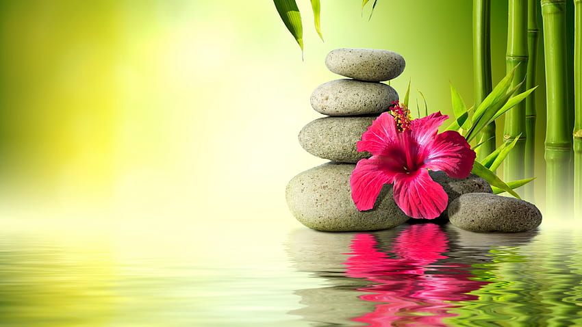 Relaxing Spa, Bamboo, Reflection, Flower, Stones HD wallpaper