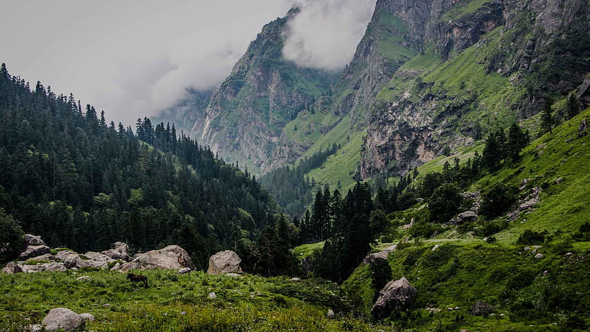 Himachal Pradesh Manali y Kasol - Himachal Pradesh Naturaleza de Dios fondo de pantalla