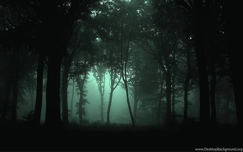 Forest Ultra .teahub.io, Beautiful Dark Forest HD wallpaper | Pxfuel