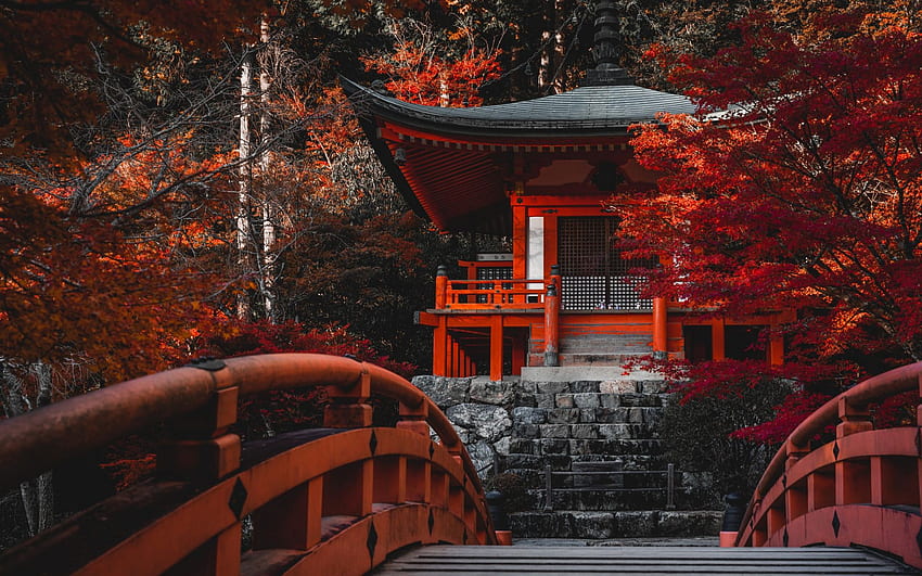 Daigo Ji Temple, Shingon Buddhist Temple, Japanese Temple, Autumn, Red Trees, Fushimi Ku, Kyoto, Japan For With Resolution . 고품질 HD 월페이퍼