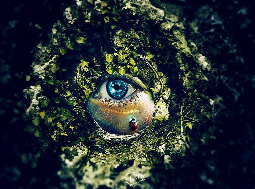 The eye of Mother Nature, blue, lady bug, green, vine, mother nature, eye HD wallpaper