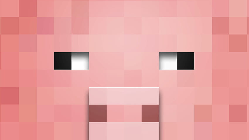 Minecraft Pig .dog, Wajah Babi Wallpaper HD