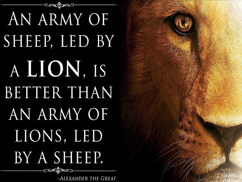 Best Lion Quotes (Page 1), Lion Motivation Bible HD wallpaper | Pxfuel
