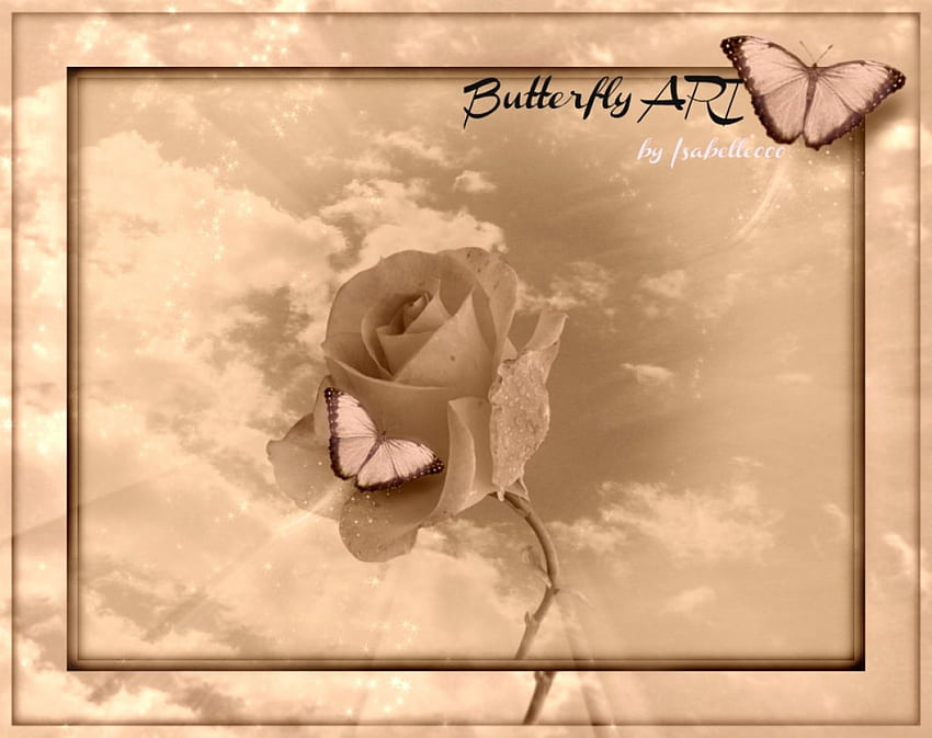 Schmetterlingskunst, Rose, Kunst, Himmel, Fantasie, Schmetterling HD-Hintergrundbild