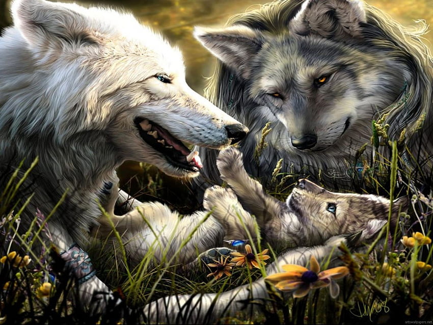 and background of Wolf Family for fans of Amazing Wolves . HD wallpaper