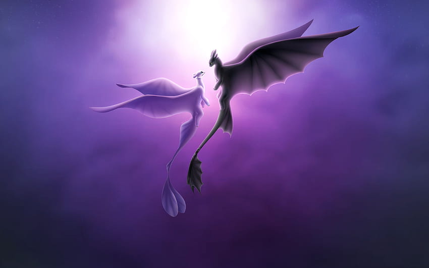 Toothless And Light Fury Romantic Love Resolution , , Background, and ...