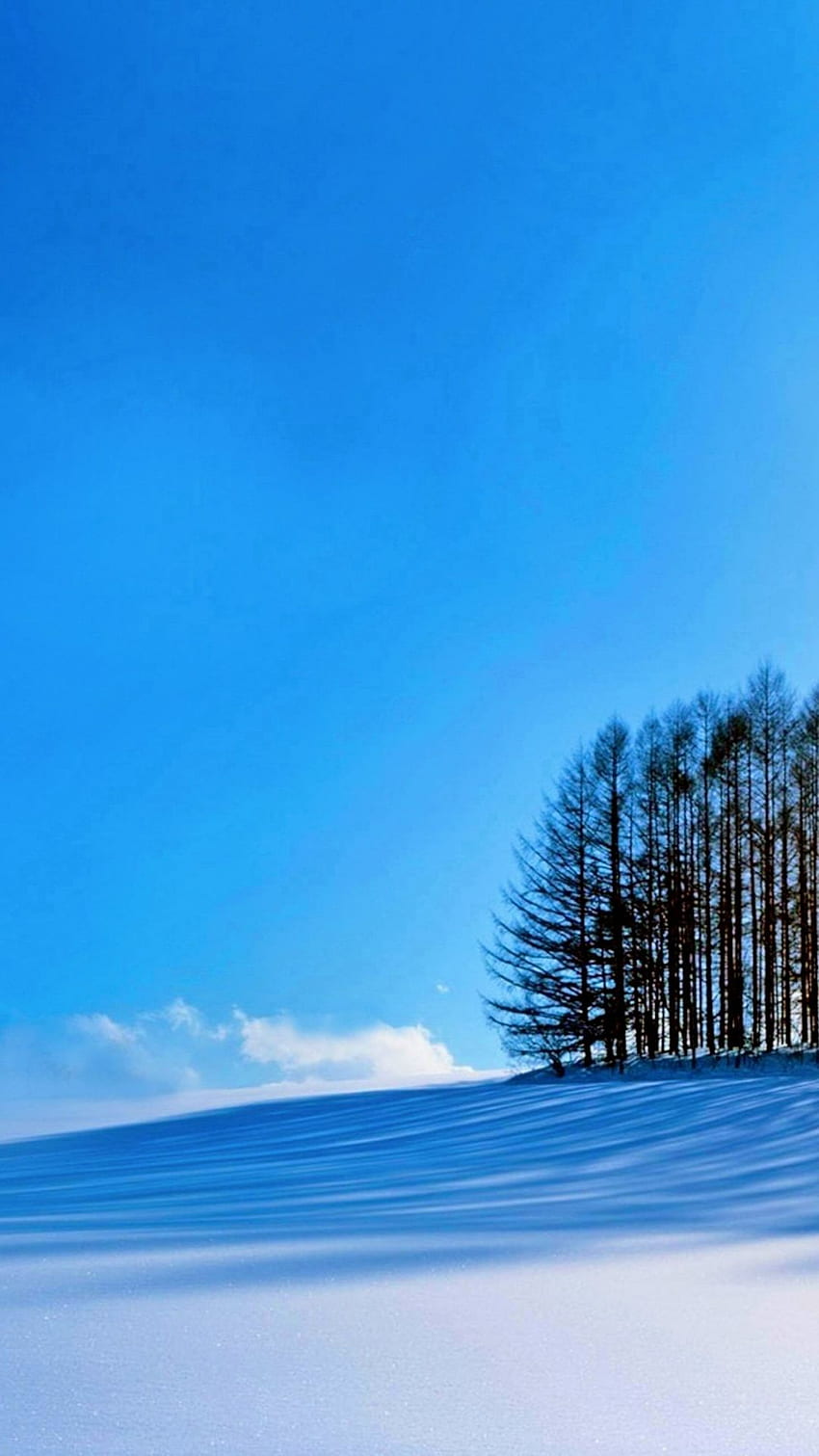 trees, sky, snow, winter, Samsung Galaxy S4 HD phone wallpaper