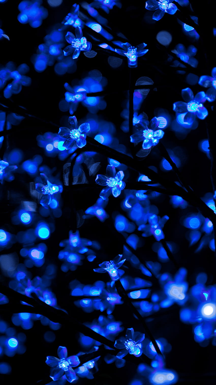 Guirnalda Neon Light Backlight Blue Dark Christmas [] para tu , Móvil y Tablet. Explora las luces de neón navideñas. de luces de neón, luces de neón, neón fondo de pantalla del teléfono