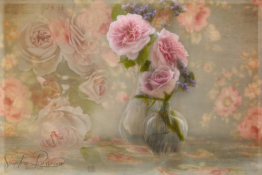 Morning Melody, still life, pink roses, digital art, beautiful, textures HD wallpaper