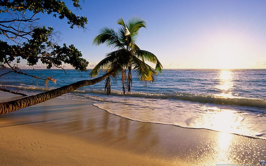 Tropical Beach Susnet ., 1680X1050 Плаж HD тапет