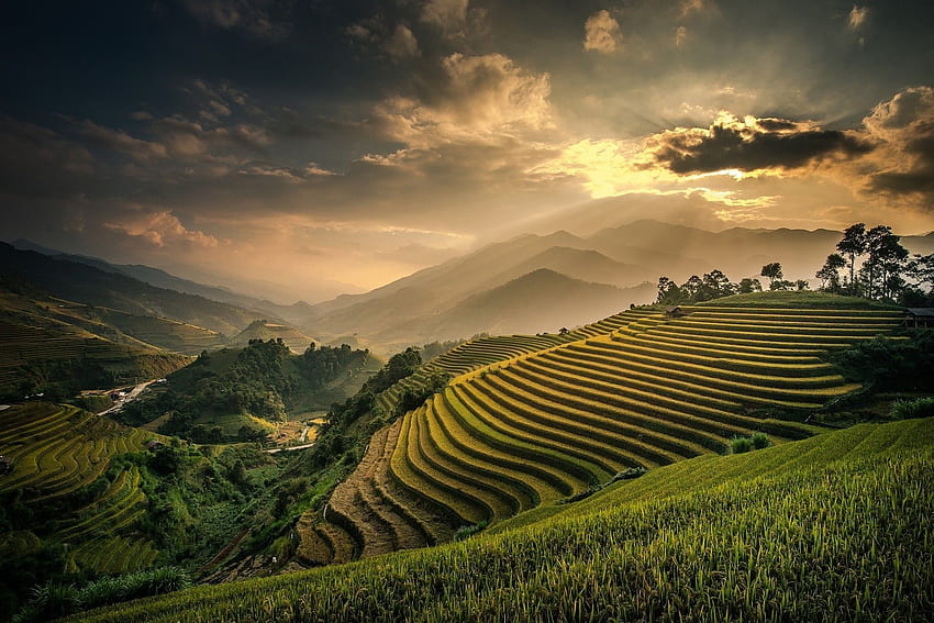 naturaleza, Paisaje, Campo, Terrazas, Montaña, Niebla, Puesta de sol, Valle, Campos de arroz Bali Indonesia fondo de pantalla