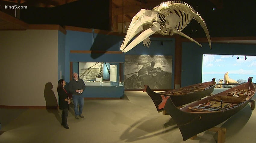 Después de 20 años, la batalla de la tribu Makah para cazar ballenas continúa fondo de pantalla