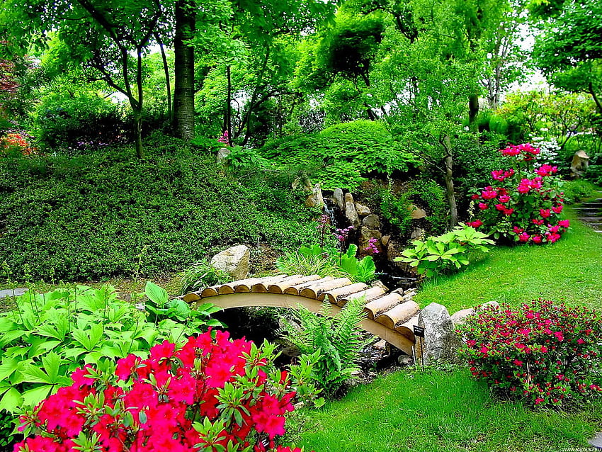 Schöner Natur-Blumen-Garten an für Mobile, Sommergarten HD-Hintergrundbild